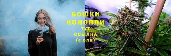 мдма Гусев